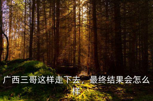 廣西三哥這樣走下去，最終結果會怎么樣