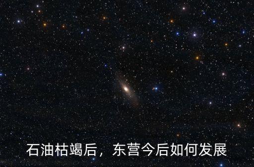 東營石油有多少,東營今后如何發展