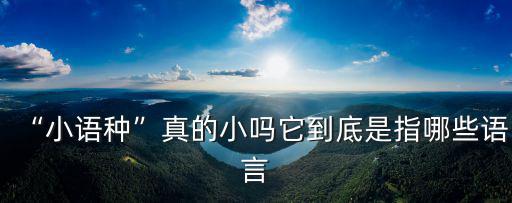濟南外國語小語種有多少名,小語種真的小嗎