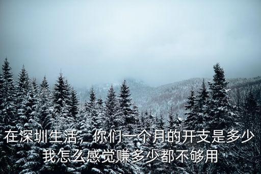 在深圳生活，你們一個月的開支是多少我怎么感覺賺多少都不夠用