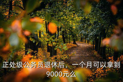 深圳公安局正處級退休多少錢,正處級公務員退休后