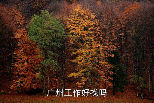 在廣州找英語相關(guān)的工作怎么樣,在中國可以找什么樣工作