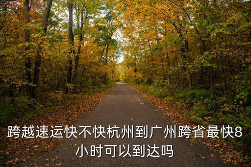 廣州跨越速運公司怎么樣,請問跨越速運怎么樣