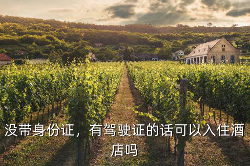 廣州住酒店要身份證怎么辦,身份證不在身邊