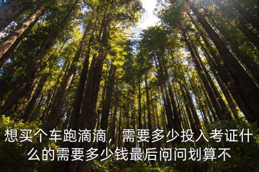 想買個車跑滴滴，需要多少投入考證什么的需要多少錢最后問問劃算不