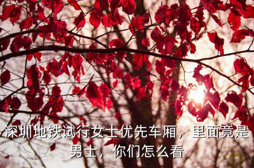 深圳地鐵車廂怎么區分,深圳地鐵試行女士優先車廂