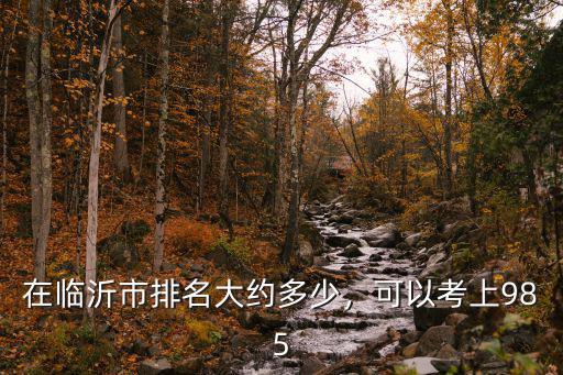 在臨沂市排名大約多少，可以考上985