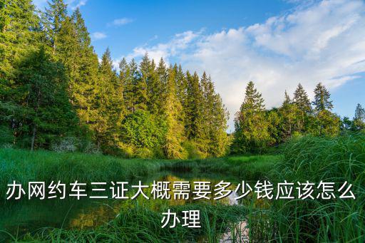 江門2021網約車證辦理需要多少錢,辦網約車三證大概需要多少錢