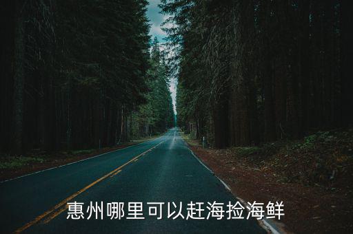 惠州市惠陽區(qū)哪里適合趕海,惠州哪里趕海好玩