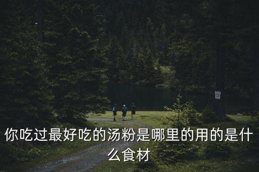 廣州哪里的豬雜粉好吃,你吃過最好吃的湯粉是哪里的