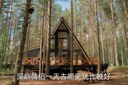 深圳神奇城堡哪里好玩,深圳有哪些好玩的地方