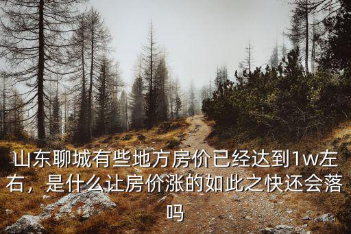 山東聊城有些地方房價已經達到1w左右，是什么讓房價漲的如此之快還會落嗎