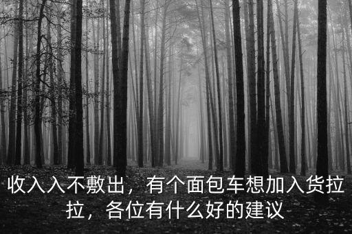 收入入不敷出，有個面包車想加入貨拉拉，各位有什么好的建議