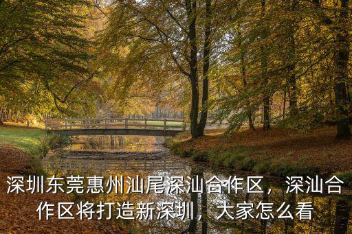 深圳東莞惠州汕尾深汕合作區，深汕合作區將打造新深圳，大家怎么看