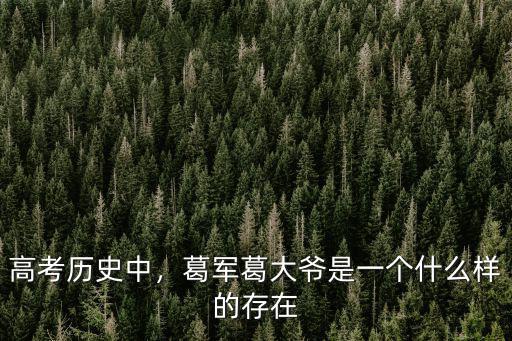 高考歷史中，葛軍葛大爺是一個什么樣的存在