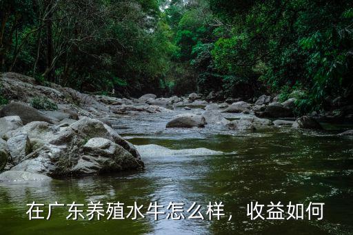廣東海威養殖怎么樣,在廣東養殖水牛怎么樣