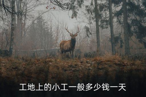 工地上的小工一般多少錢一天