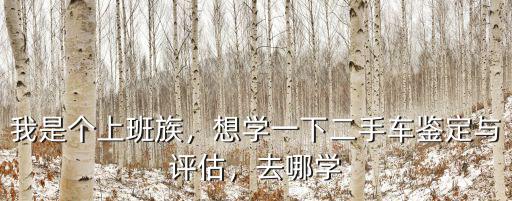 我是個上班族，想學一下二手車鑒定與評估，去哪學