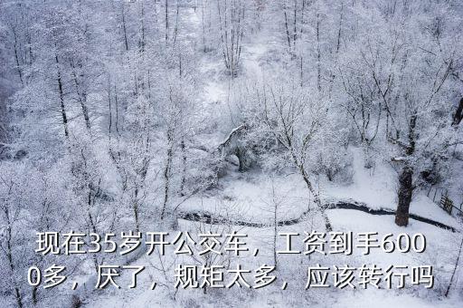 徐州公交車工資多少,公交車司機月工資是多少