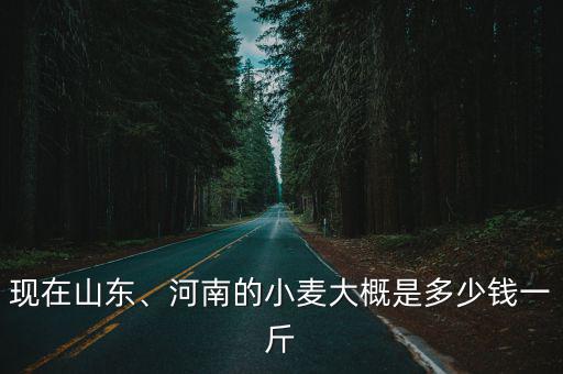 山東小麥的價格是多少錢一斤,今年夏糧小麥多少錢一斤