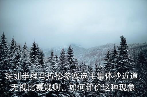 深圳半程馬拉松參賽選手集體抄近道，無視比賽規則，如何評價這種現象