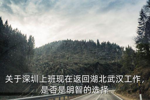 關于深圳上班現在返回湖北武漢工作，是否是明智的選擇