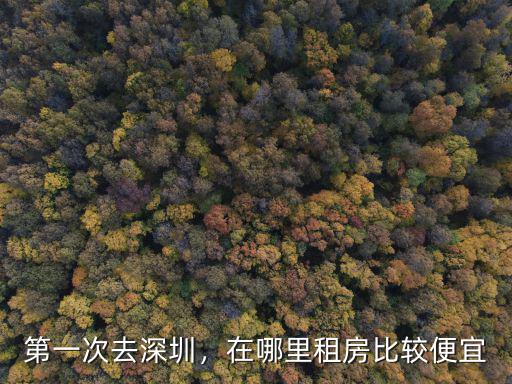 深圳哪里的米便宜,第一次去深圳
