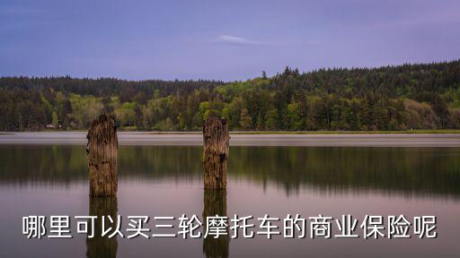 哪里可以買三輪摩托車的商業保險呢