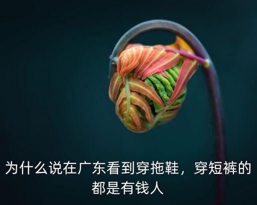 為什么說在廣東看到穿拖鞋，穿短褲的都是有錢人