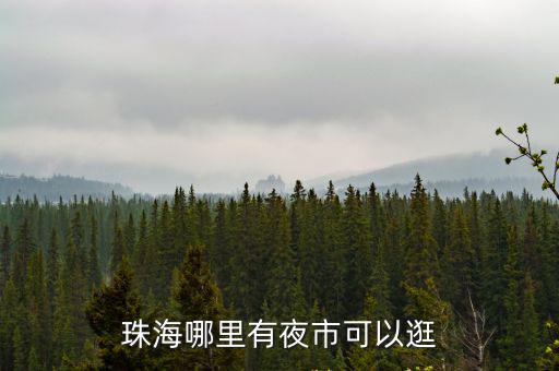 珠海哪里有夜市可以逛