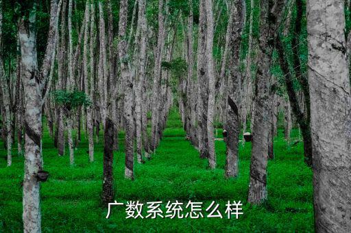 廣州數控研發大樓怎么樣,廣數系統怎么樣