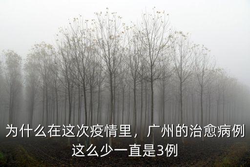 為什么在這次疫情里，廣州的治愈病例這么少一直是3例