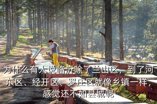 臨沂蘭山區(qū)有多少人口,為什么有人說臨沂除了蘭山區(qū)