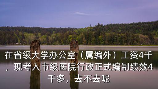 在省級大學辦公室（屬編外）工資4千，現考入市級醫院行政正式編制績效4千多，去不去呢