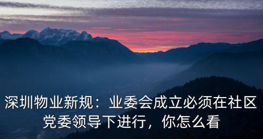 深圳物業新規：業委會成立必須在社區黨委領導下進行，你怎么看
