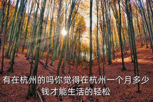 杭州峰會花銷多少,有在杭州的嗎