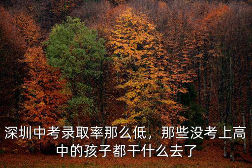 深圳民辦高中怎么樣考取,深圳中考錄取率那么低
