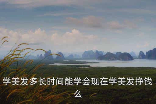 學(xué)美發(fā)多長時(shí)間能學(xué)會(huì)現(xiàn)在學(xué)美發(fā)掙錢么