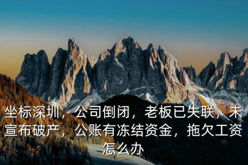 深圳的公司拖欠工資怎么辦,拖欠工資怎么辦
