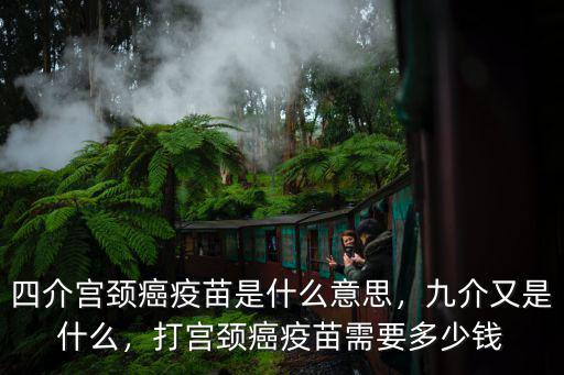 四介宮頸癌疫苗是什么意思，九介又是什么，打宮頸癌疫苗需要多少錢