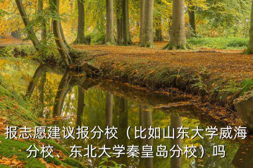 威海有多少其他大學分校,東北大學秦皇島分校