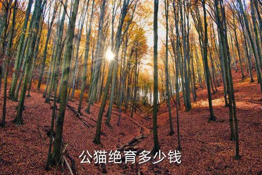 母貓絕育多少錢無錫,公貓絕育多少錢