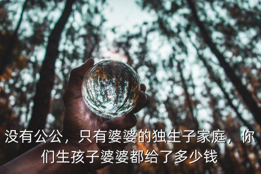 沒(méi)有公公，只有婆婆的獨(dú)生子家庭，你們生孩子婆婆都給了多少錢