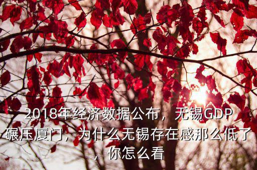 2018年經濟數據公布，無錫GDP碾壓廈門，為什么無錫存在感那么低了，你怎么看