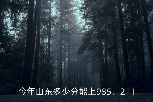 今年山東多少分能上985、211