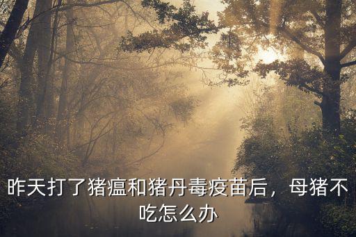 青島易邦豬丹毒疫苗母豬打多少,昨天打了豬瘟和豬丹毒疫苗后