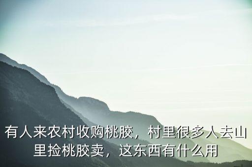 桃膠廣州哪里有賣的,什么地方的桃膠最好