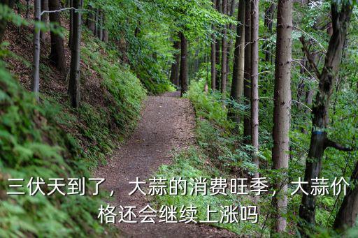 山東菏澤成武的大蒜多少錢1斤,大蒜的消費旺季