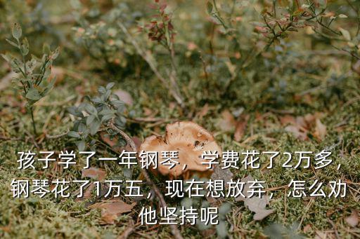 臨沂市學(xué)鋼琴一年學(xué)費(fèi)是多少,學(xué)費(fèi)花了2萬多