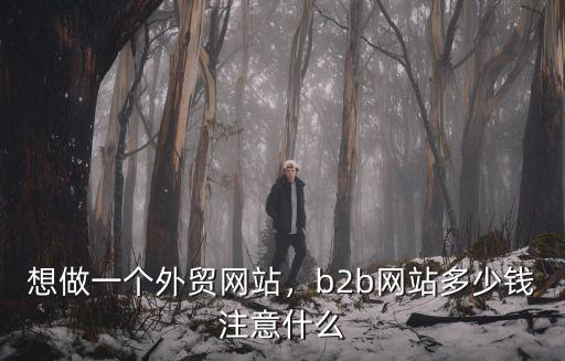 無錫做個外貿(mào)網(wǎng)站大概多少錢,b2b網(wǎng)站多少錢